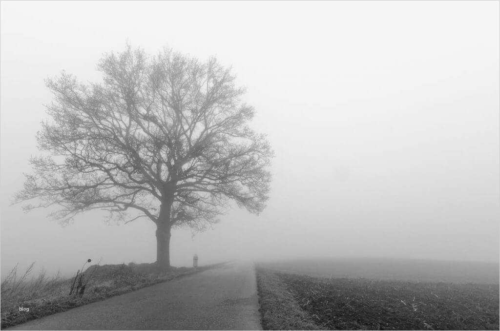 Trauerkarte Vorlage Schönste Schwarzweisskarten Ausdrucken Kostenloser Download