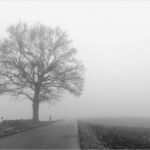 Trauerkarte Vorlage Word Wunderbar Schwarzweisskarten Ausdrucken Kostenloser Download