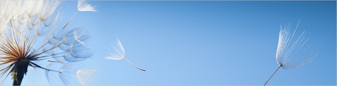 Trauerkarten Danksagung Vorlagen Inspiration Trauerkarten Danksagung Auswählen Und Drucken Lassen