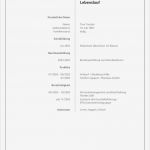 Trennblätter Vorlage Kostenlos Süß Bewerbung Kostenlose Vorlage Deckblatt