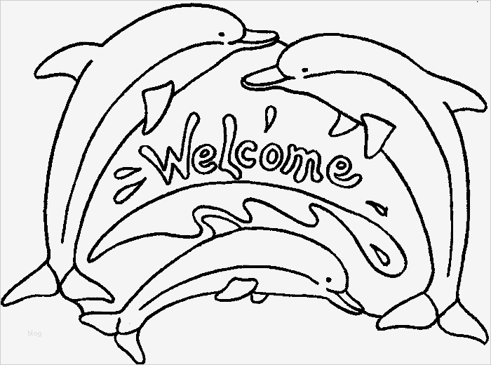 Türschilder Vorlagen Zum Ausdrucken Fabelhaft Delfine Malvorlagen Kostenlos Zum Ausdrucken