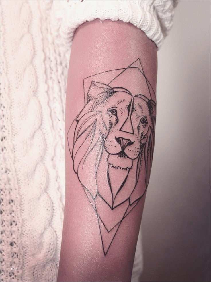 Untermietvertrag Vorlage Hamburg Schönste Die Besten 17 Ideen Zu König Der Löwen Tattoos Auf