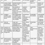 Unterrichtsentwurf Vorlage Einzigartig Hospitation