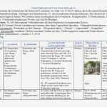 Unterrichtsentwurf Vorlage Hübsch Mein Tag A1 Wustrow