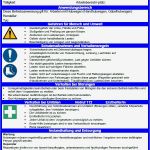 Unterweisung Arbeitssicherheit Vorlage Süß atemberaubend Betriebsanweisungen Vorlage Bilder
