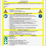 Unterweisung Ladungssicherung Vorlage Großartig Betriebsanweisung Benutzung Von Sicherungs Und
