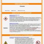 Unterweisung Ladungssicherung Vorlage Gut Niedlich Betriebsanweisungen Vorlage Fotos Entry Level