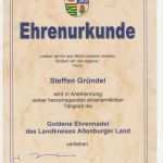 Urkunde Ehrenamt Vorlage Schön Policat