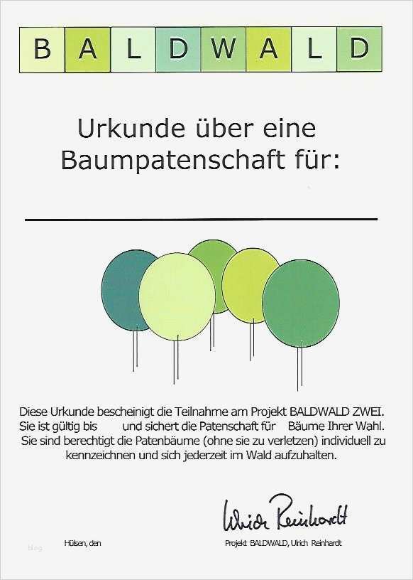 Urkunde Patenschaft Vorlage Best Of Ungewöhnlich Patenschaftszertifikat Vorlage Zeitgenössisch