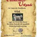 Urkunde Patenschaft Vorlage Genial Wisk – Pro Canalba E V