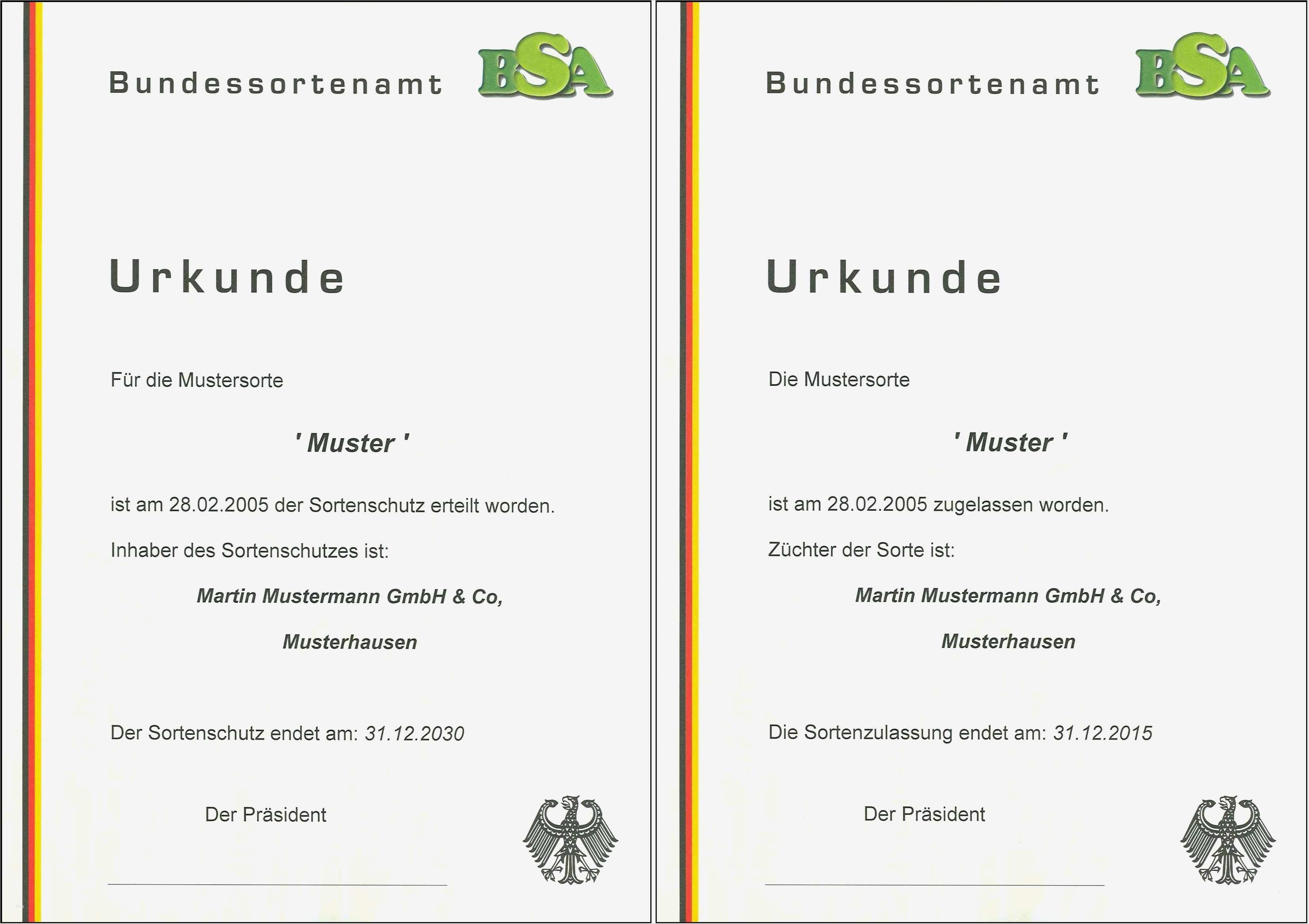 Pin Urkunde Vorlage Kostenlos Download Picture Pelauts