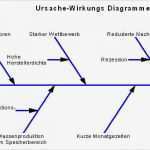 Ursache Wirkungs Diagramm Vorlage Einzigartig Igrafx Flowcharter Training