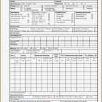 Uvv Prüfbericht Vorlage Best Of Nett Prüfbericht Vorlage Bilder Entry Level Resume