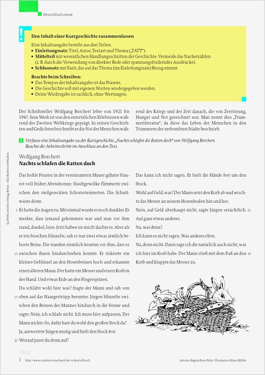 Verfahrensdokumentation Vorlage Hübsch Charmant Zusammenfassung Zusammenfassung Beispiel