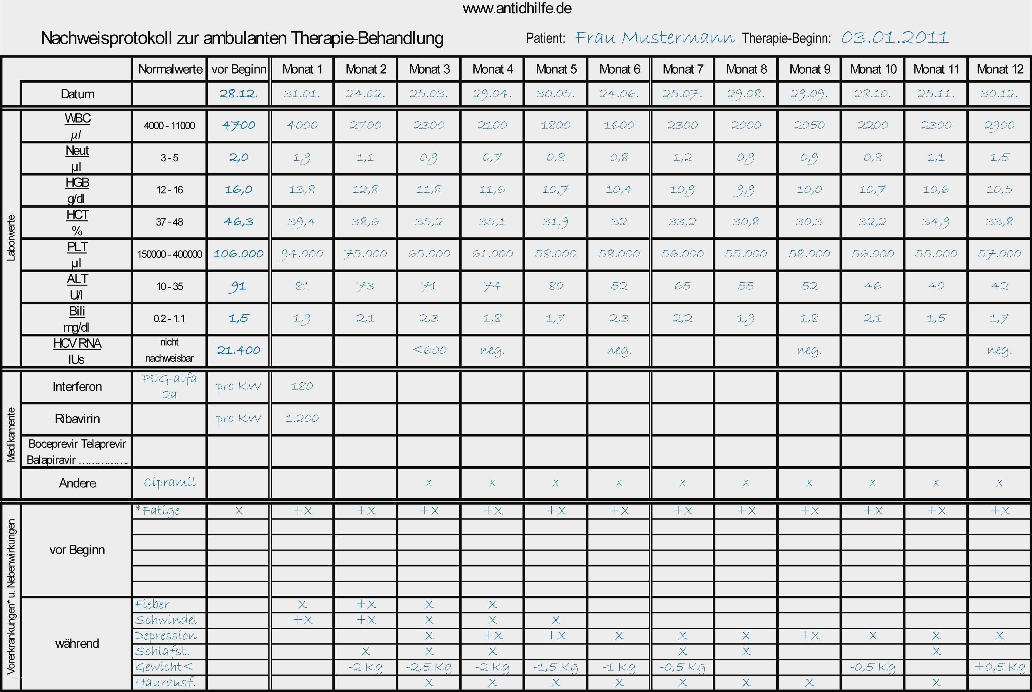 Verlaufsprotokoll Vorlage Erstaunlich tolle Vorlage Rna Fotos Entry Level Resume Vorlagen