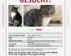 Vermisstenanzeige Katze Vorlage Bewundernswert Schön Melden Sie Sich In Blattvorlage Bilder Bilder Für