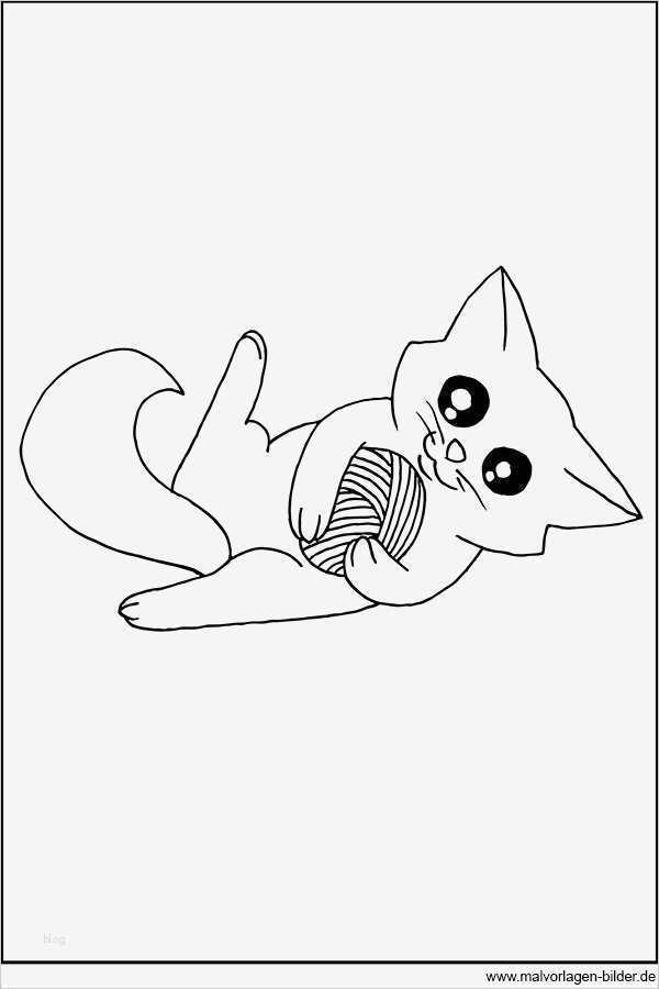 Vermisstenanzeige Katze Vorlage Cool Fein Süße Kätzchen Malvorlagen Bilder Entry Level Resume