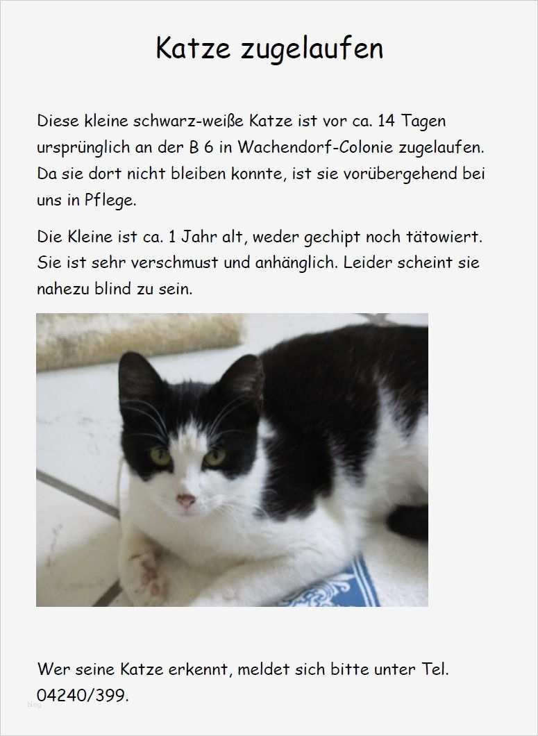 Vermisstenanzeige Katze Vorlage Erstaunlich Ausgezeichnet Schwarze Katze Färbung Seite Fotos Entry