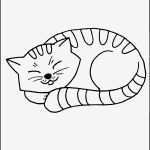 Vermisstenanzeige Katze Vorlage Erstaunlich Fein Süße Kätzchen Malvorlagen Bilder Entry Level Resume