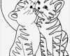 Vermisstenanzeige Katze Vorlage Erstaunlich Nett Malvorlagen Katzen Zum Ausdrucken Fotos Beispiel