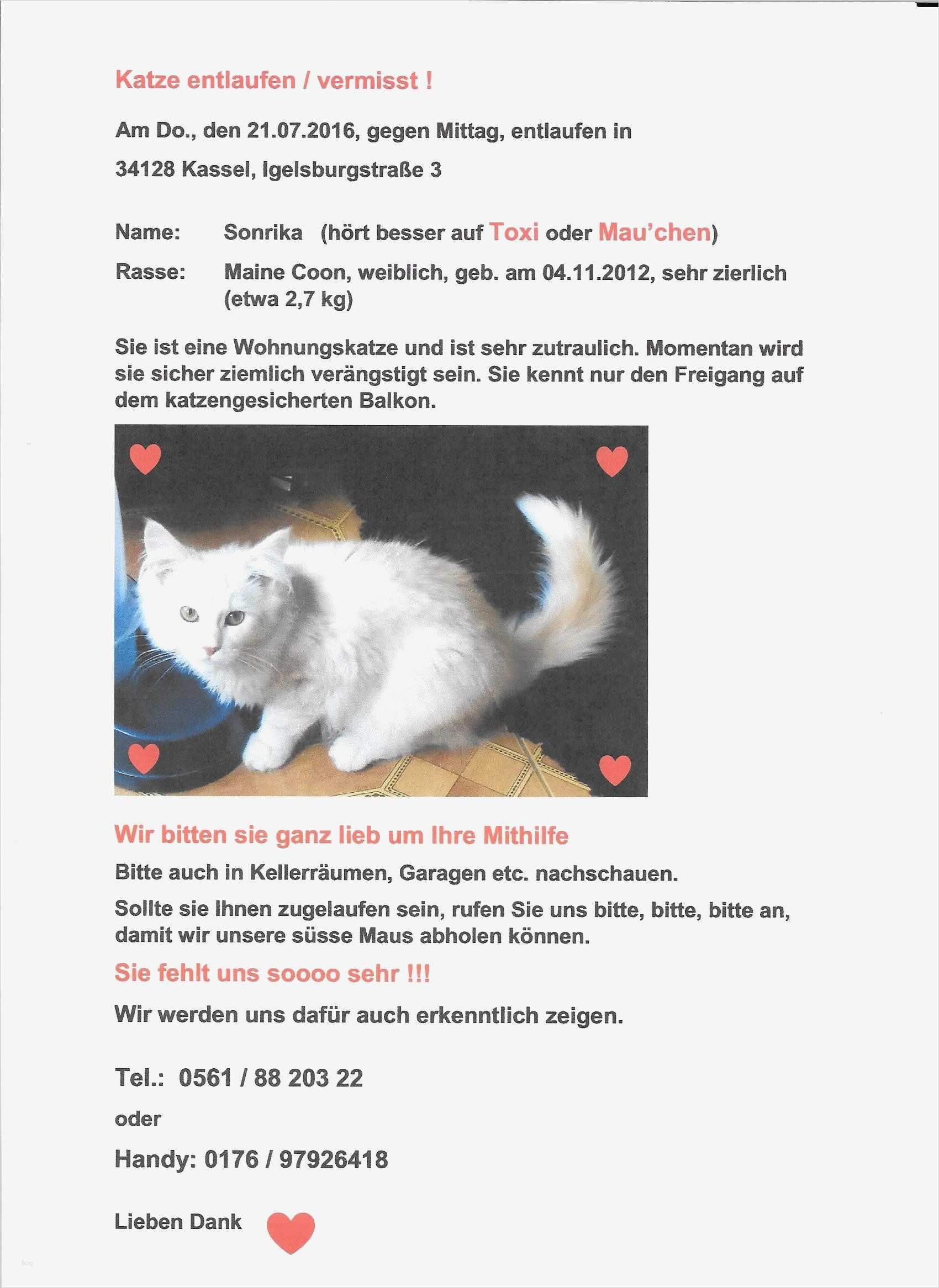 Vermisstenanzeige Katze Vorlage Genial Wunderbar Lebensmittelgeschäft Vorlagen Zeitgenössisch