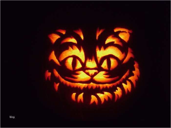 Vermisstenanzeige Katze Vorlage Gut Ungewöhnlich Kürbis Vorlage Katze Zeitgenössisch Entry