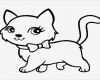 Vermisstenanzeige Katze Vorlage Wunderbar tolle Malvorlagen Von Kätzchen Bilder Entry Level Resume