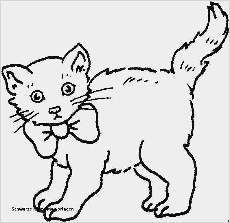 Vermisstenanzeige Vorlage Bewundernswert Fantastisch Echte Katze Malvorlagen Galerie Entry Level