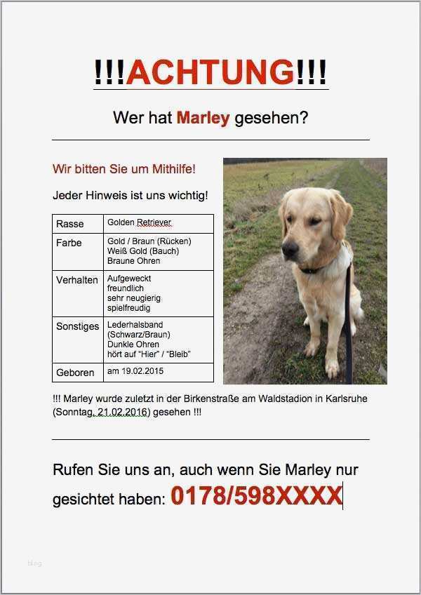 Vermisstenanzeige Vorlage Bewundernswert Wenn Der Hund Weg ist & Vermisst Wird Meine Tipps