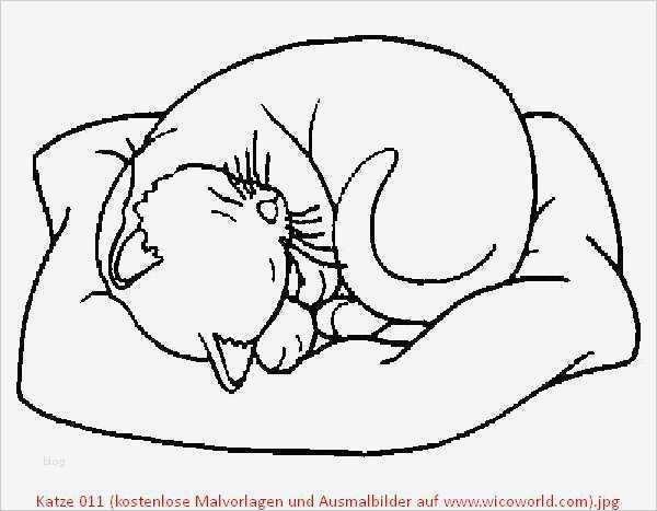 Vermisstenanzeige Vorlage Erstaunlich Groß Eine Malvorlage Einer Katze Fotos Ideen Färben