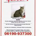 Vermisstenanzeige Vorlage Schön Erfreut Vermissten Template Bilder Bilder Für Das