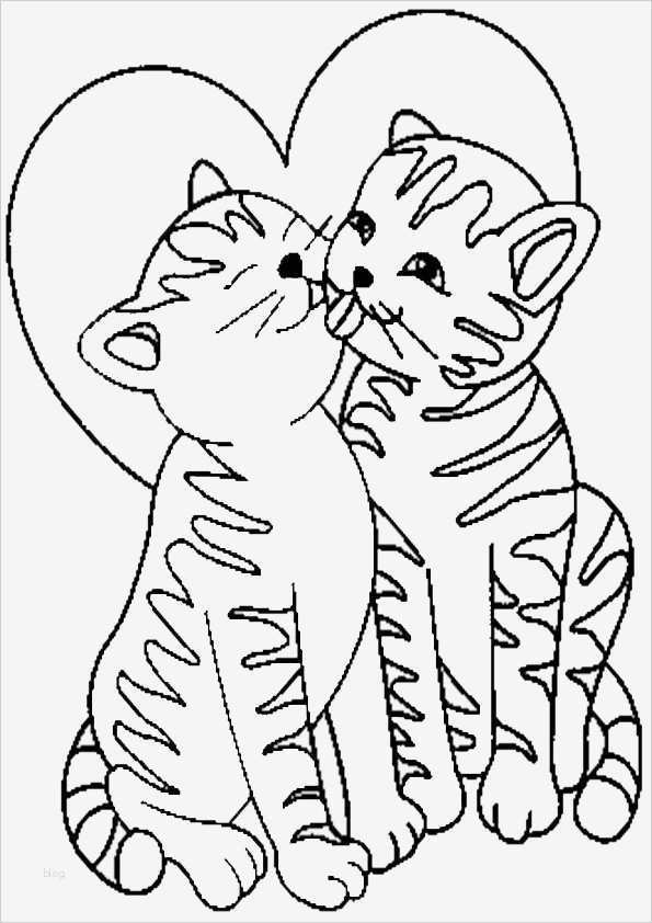 Vermisstenanzeige Vorlage Süß Nett Malvorlagen Katzen Zum Ausdrucken Fotos Beispiel