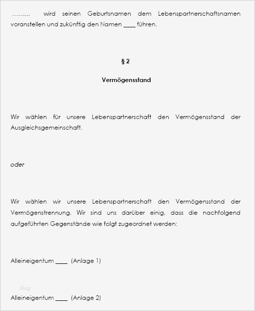 Vermögensaufstellung Vorlage Hübsch Lebenspartnerschaftsvertrag Gleichgeschlechtlich