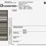Versandetikett Vorlage Genial Erklärungen Zum Dpd Paketaufkleber
