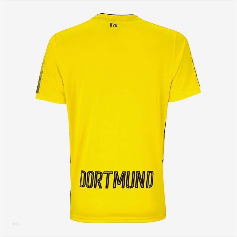 Vfb Gutschein Vorlage Wunderbar Puma Bvb Dortmund Trikot Home Kinder 17 18 Gelb F01