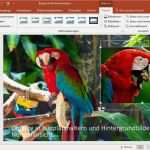 Video Trailer Vorlagen Gut Powerpoint 2016 Mit Vorlagen Arbeiten Trailer