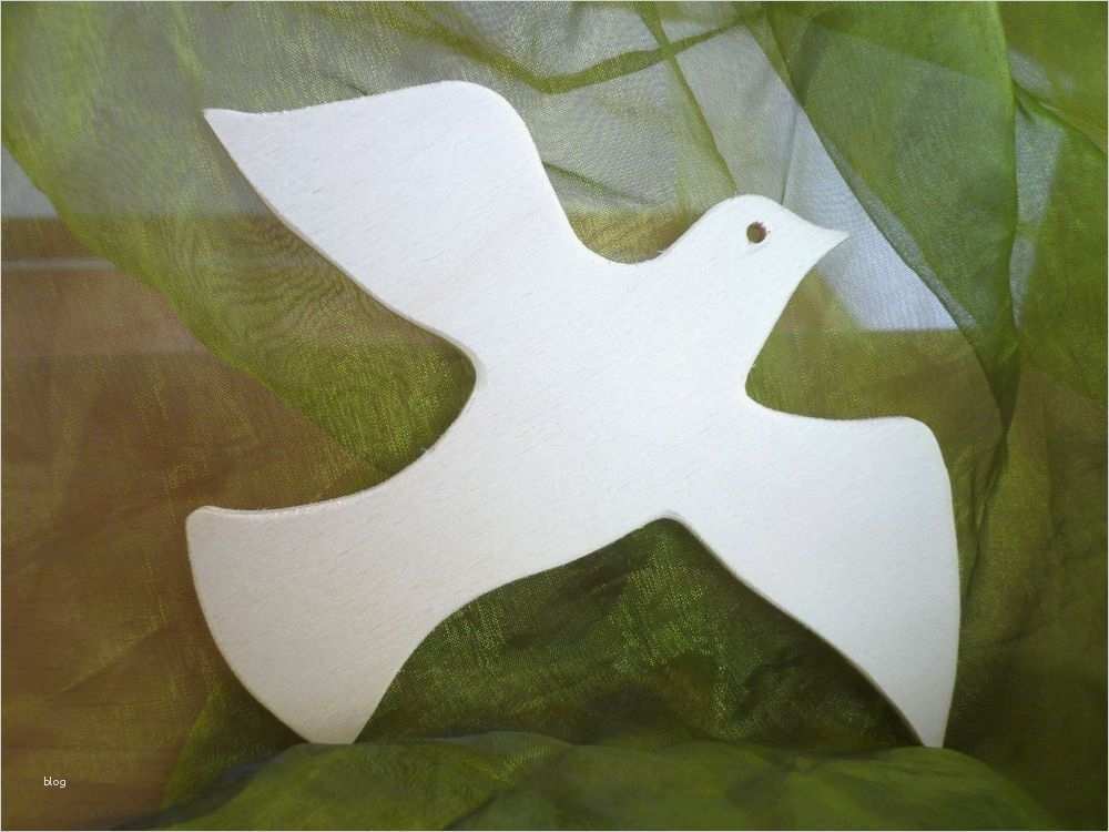 Vogel Basteln Vorlage Bewundernswert Taube Friedenstaube Sperrholz Basteln Vogel
