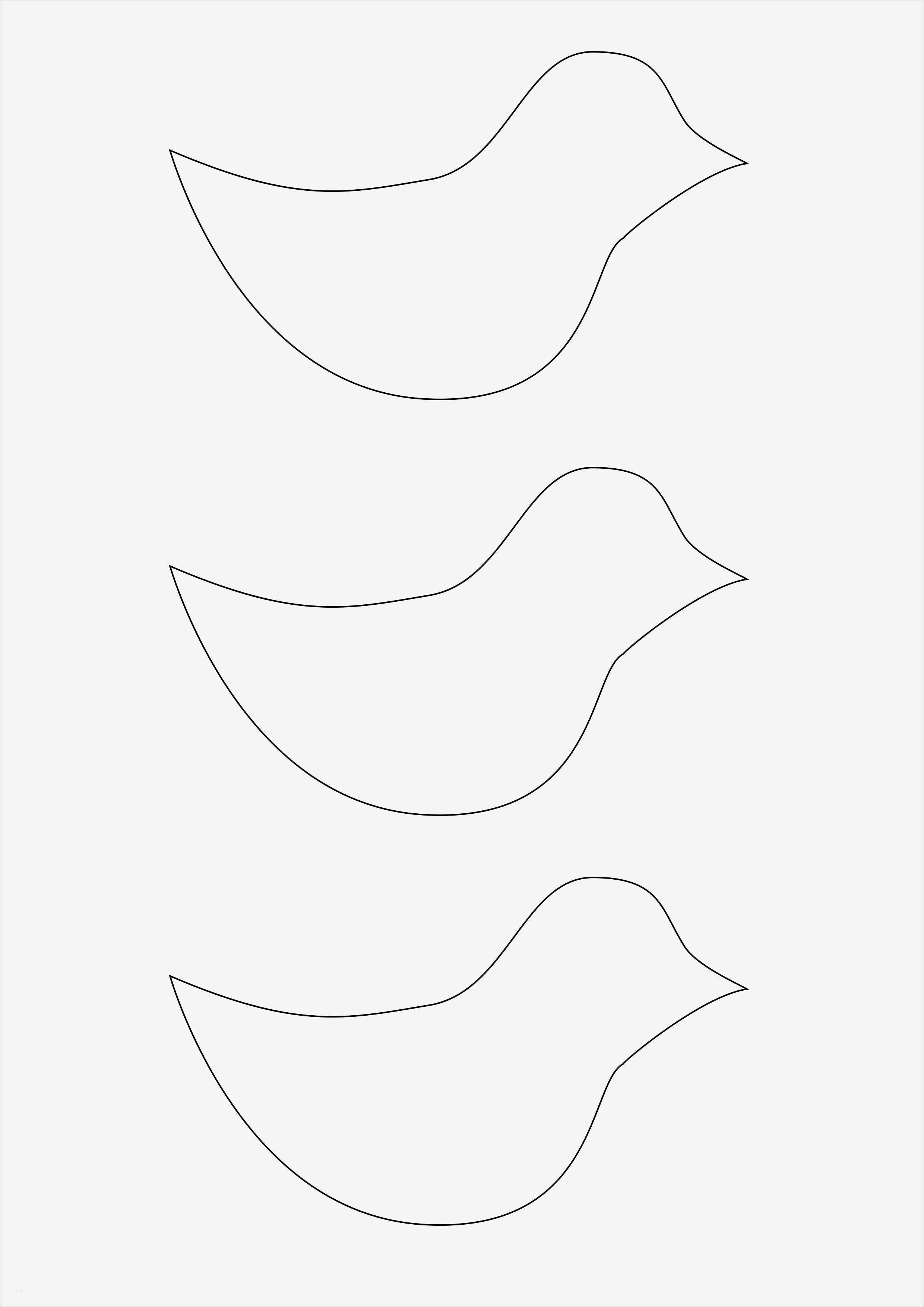 Vogel basteln aus Papier einfache Anleitung und Vorlage