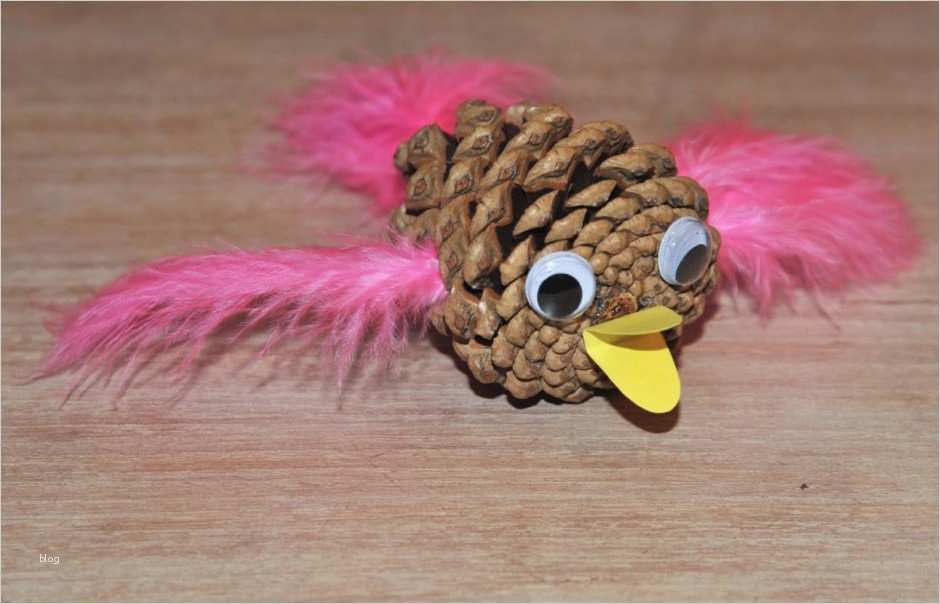 Vogel Basteln Vorlage Schönste Kinder Malen Und Basteln Vogel Aus Zapfen
