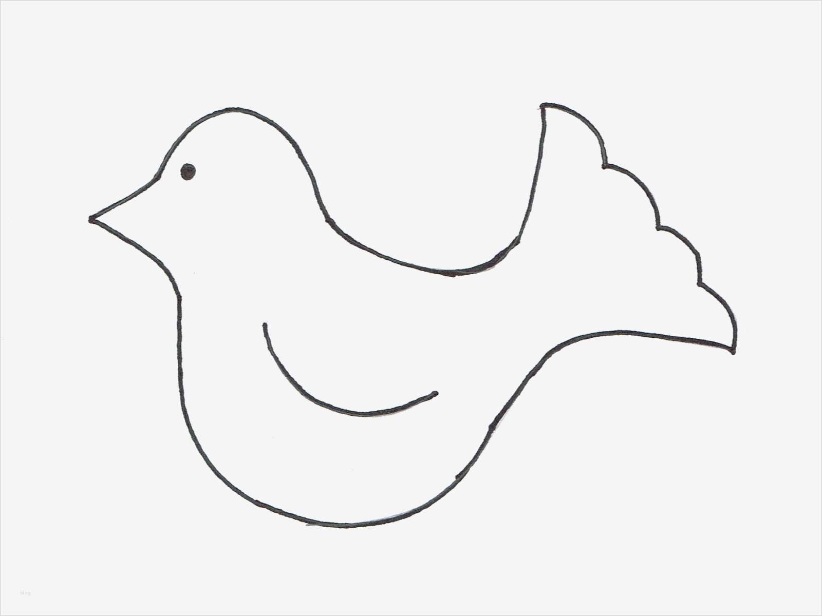 Vogel Basteln Vorlage Süß Seaside Cottage Diy Piepmätze