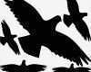 Vogel Vorlage Zum Ausschneiden Cool Vogel Vögel Schutz Fenstertattoo Wandtattoo Aufkleber