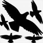 Vogel Vorlage Zum Ausschneiden Cool Vogel Vögel Schutz Fenstertattoo Wandtattoo Aufkleber