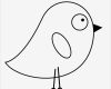 Vogel Vorlage Zum Ausschneiden Elegant Kostenlose Malvorlage Vögel Witziges Küken Zum Ausmalen