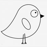 Vogel Vorlage Zum Ausschneiden Elegant Kostenlose Malvorlage Vögel Witziges Küken Zum Ausmalen