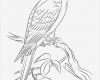 Vogel Vorlage Zum Ausschneiden Erstaunlich Coloriage Ara De Jamaïque