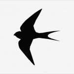 Vogel Vorlage Zum Ausschneiden Erstaunlich Wandschablonen Zum Ausdrucken 34 Vorlagen Mit tollen Motiven