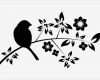 Vogel Vorlage Zum Ausschneiden Erstaunlich Wandtattoo Blütenzauber Mit Vogel