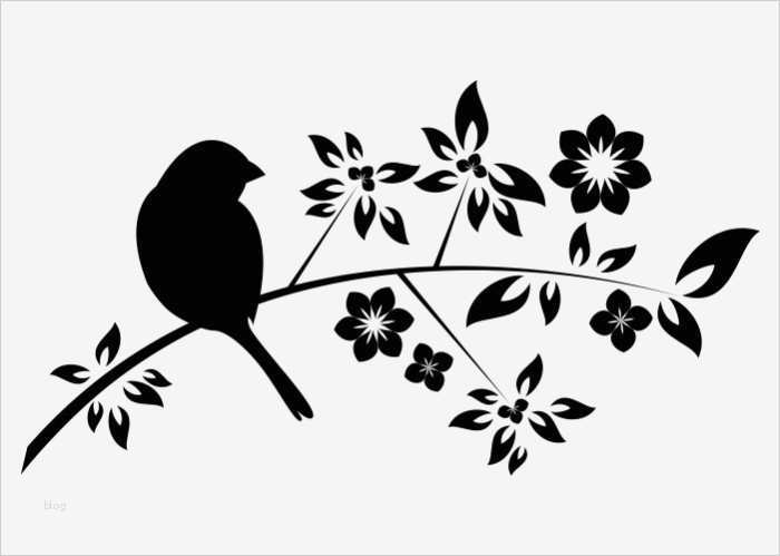 Vogel Vorlage Zum Ausschneiden Erstaunlich Wandtattoo Blütenzauber Mit Vogel