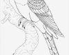Vogel Vorlage Zum Ausschneiden Inspiration Ausmalbilder Für Kinder Malvorlagen Und Malbuch