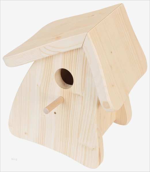 Vogelhaus Basteln Vorlagen Genial Vogelhaus Holz Bemalen Kinder – Bvrao